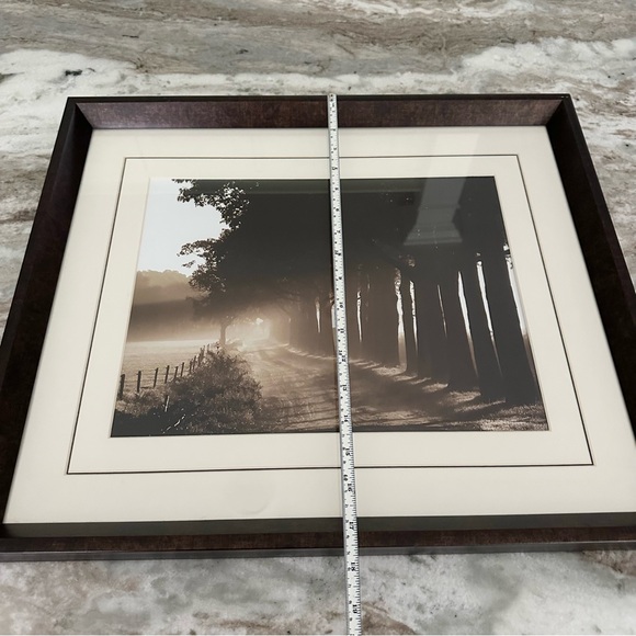 Sepia Tree Landscape Print Framed Glass Art - Wall Decor - Picture 10 of 16